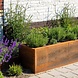 Adezz rechteckiger Blumenkasten Connect Cortenstahl 100X50X50cm Adezz rechteckiger Blumenkasten Connect Cortenstahl 100X50X50cm