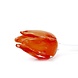 Blumenglas Tulpe Orange Blumenglas Tulpe Orange