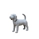Beeld hond Beagle grijs 48cm Beeld hond Beagle grijs 48cm