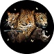 Glasschilderij Wildlife Rond 100cm Glasschilderij Wildlife Rond 100cm