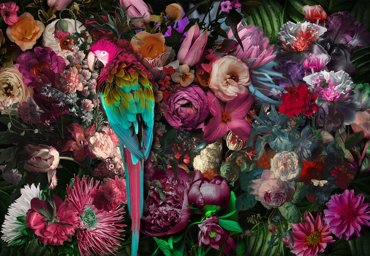 onregelmatig Correspondent Super goed Glasschilderij Papagaai op bloemen 110x160cm - Eliassen Home & Garden  Pleasure