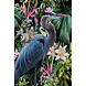 Glasschilderij Reiger in bloemen rechts 80x120cm Glasschilderij Reiger in bloemen rechts 80x120cm