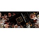 Glasmalerei Gucci Flora 50x120cm. Glasmalerei Gucci Flora 50x120cm.