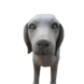 Beeld hond Beagle grijs 48cm Beeld hond Beagle grijs 48cm