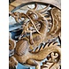 Holzwandpaneel rund Snake Dragon 30cm Holzwandpaneel rund Snake Dragon 30cm
