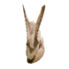 Beeld hout Uil met jongen 40cm Beeld hout Uil met jongen 40cm