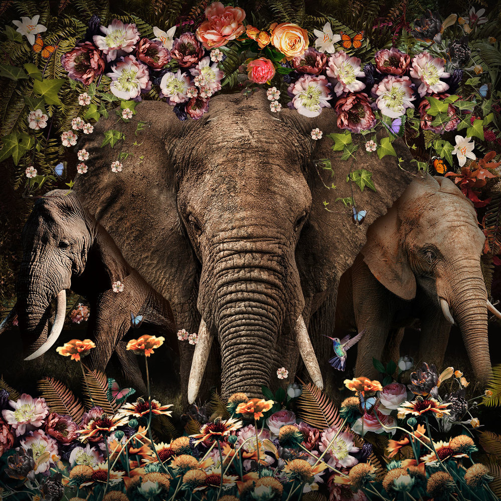 Glass painting Elephants in the flowers 80x80cm. Eliassen Home