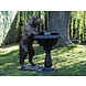 Bronzen hond met fontein Bronzen hond met fontein