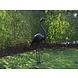 Bronzeskulptur Flamingo Bronzeskulptur Flamingo