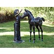 Bronzen meisje met veulen Bronzen meisje met veulen