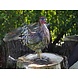Metalen figuur hen Metalen figuur hen