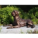 Bild Bronze Hundeboxer 46cm Bild Bronze Hundeboxer 46cm