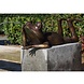 Bild Bronze Frosch entspannend 90cm Bild Bronze Frosch entspannend 90cm