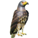 Primus Figuur metaal Roofvogel Primus Figuur metaal Roofvogel