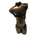 Bronzen naakte man torso Bronzen naakte man torso