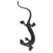 Bronze Salamander Bronze Salamander