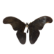 Bronzeskulptur Schmetterling Bronzeskulptur Schmetterling