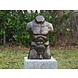 Bronzen beeld Groot mannen torso Bronzen beeld Groot mannen torso