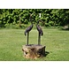 Bronzen beeld Kraanvogel hoofd gebogen Bronzen beeld Kraanvogel hoofd gebogen