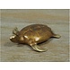 Bronzeskulptur Schildkröte Bronzeskulptur Schildkröte
