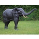 Bronze large elephant Bronze large elephant