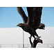 Bronzeskulptur Adler auf einem Ast Bronzeskulptur Adler auf einem Ast