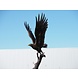 Bronzeskulptur Adler auf einem Ast Bronzeskulptur Adler auf einem Ast
