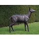 Bronzen beeld Vrouwelijk hert Bronzen beeld Vrouwelijk hert