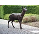 Bronzeskulptur Weiblicher Hirsch Bronzeskulptur Weiblicher Hirsch
