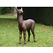 Bronzen beeld Baby alpaca Bronzen beeld Baby alpaca