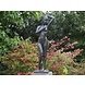 Bronzen beeld Staande naakte vrouw Bronzen beeld Staande naakte vrouw