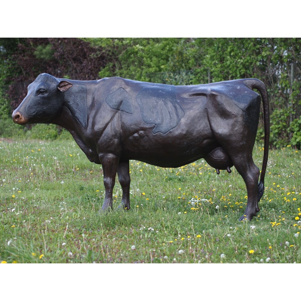 Buy Jolly Pets Fat Tail Large Cow Online Curacao