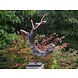 Bronzen beeld Dansende vrouw Bronzen beeld Dansende vrouw