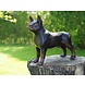 Bronzen beeld Bulldog Bronzen beeld Bulldog