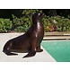 Bronzen beeld Zeeleeuw Bronzen beeld Zeeleeuw