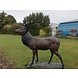 Bronzen beeld Hert groot Bronzen beeld Hert groot