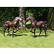 Bronzen beeld 2 paarden Bronzen beeld 2 paarden