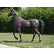 Bronzen beeld Groot paard Bronzen beeld Groot paard
