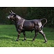 Bronzen beeld Grote stier Bronzen beeld Grote stier