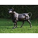 Bronzen beeld Grote stier Bronzen beeld Grote stier