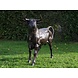 Bronzen beeld Grote stier Bronzen beeld Grote stier