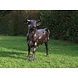 Bronzen beeld Grote stier Bronzen beeld Grote stier