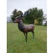 Bronzen beeld Staand hert Bronzen beeld Staand hert