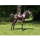Bronzen beeld Veulen Bronzen beeld Veulen