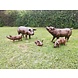 Bronzeskulptur Ferkel Modell 2 Bronzeskulptur Ferkel Modell 2