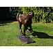 Bronzeskulptur Laufender Gepard Bronzeskulptur Laufender Gepard