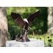 Bronzestatue Fliegender Adler Bronzestatue Fliegender Adler
