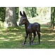 Bronzeskulptur Eselsfohlen Modell 2 Bronzeskulptur Eselsfohlen Modell 2