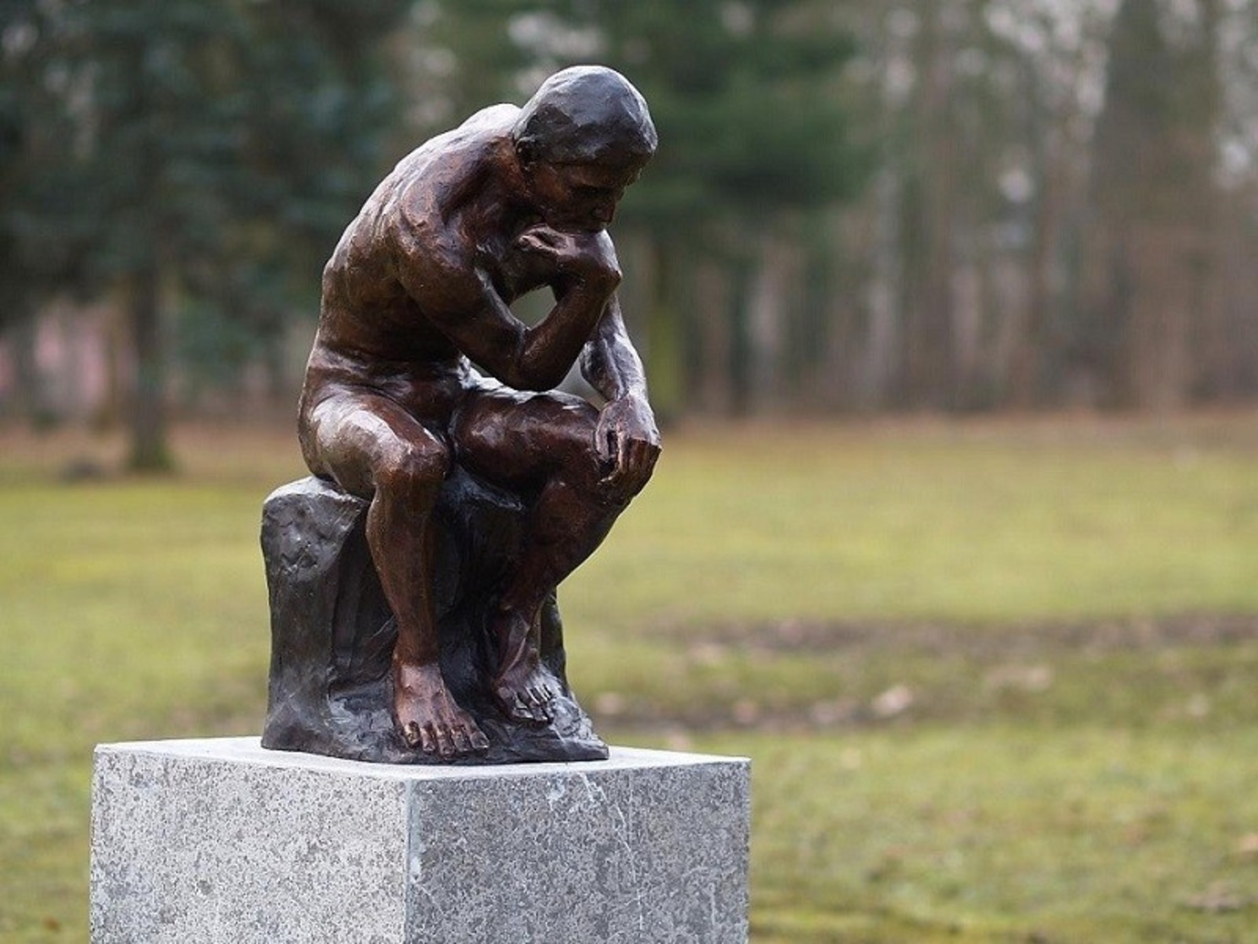 Beeld brons De Denker Van Rodin klein | Eliassen - Eliassen Home