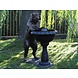 Bronzen hond met fontein Bronzen hond met fontein